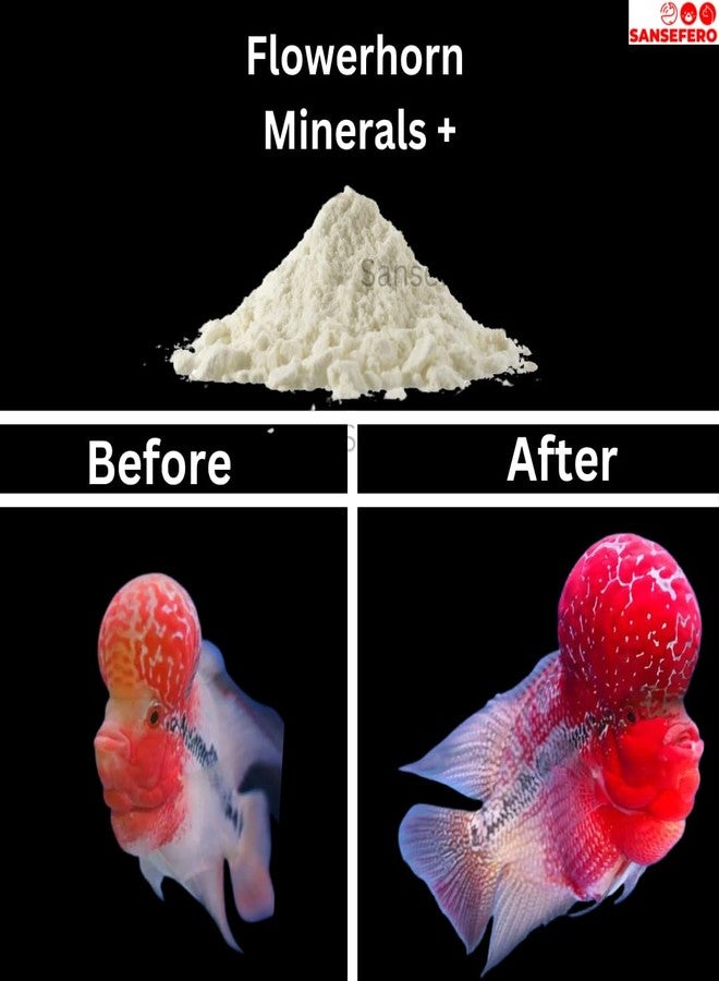 SANSEFERO بريمير بلانتس فلاور هورن مينيرال بلس، معادن هندية أصلية مع كفاءة تكاثر البكتيريا الجيدة والصحة (100 غرام) - Image 5